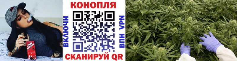 Шишки марихуана сатива Каргат